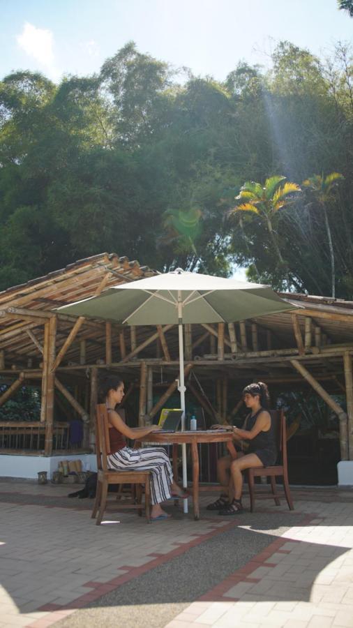 Finca La Argelia Quimbaya Ngoại thất bức ảnh