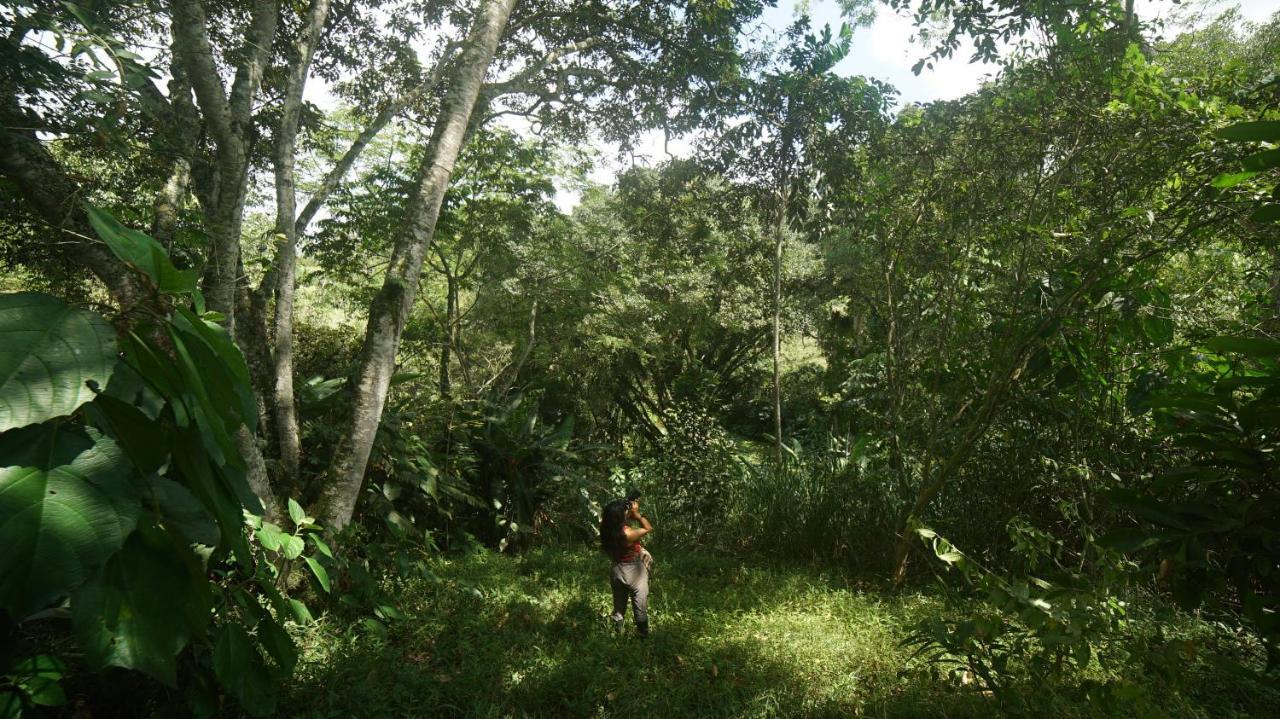Finca La Argelia Quimbaya Ngoại thất bức ảnh