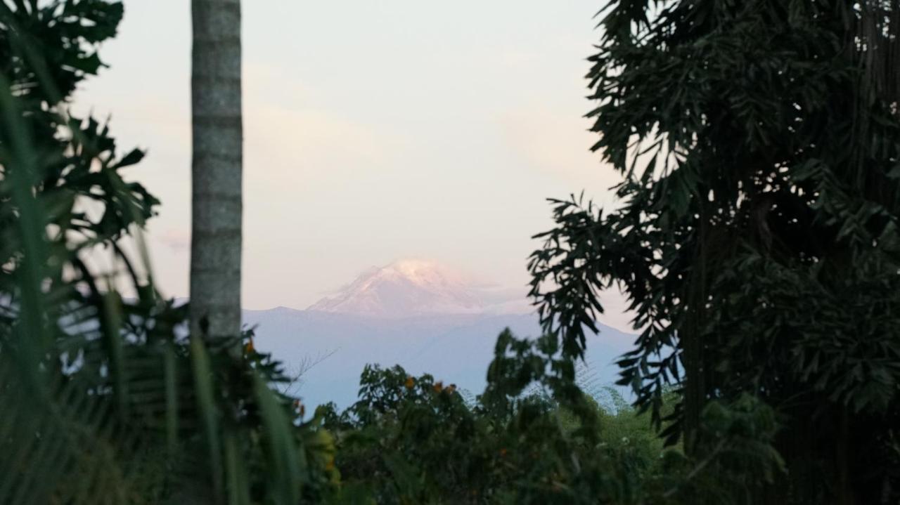 Finca La Argelia Quimbaya Ngoại thất bức ảnh